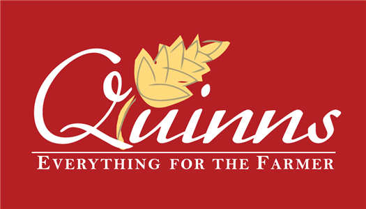 Quinns Logo 16-11-15 (2)